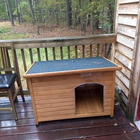 Rustic Quaint Cabin In The Woods--Pets Welcomed Dunnsville Extérieur photo
