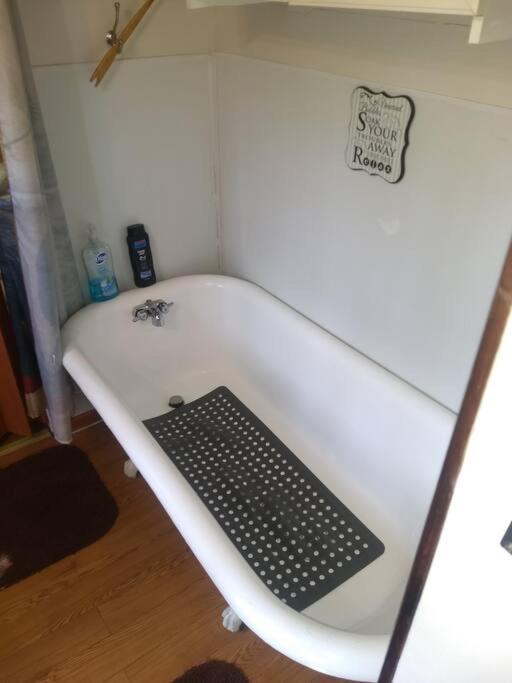Rustic Quaint Cabin In The Woods--Pets Welcomed Dunnsville Extérieur photo