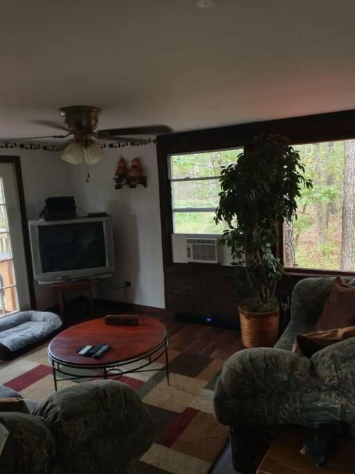 Rustic Quaint Cabin In The Woods--Pets Welcomed Dunnsville Extérieur photo